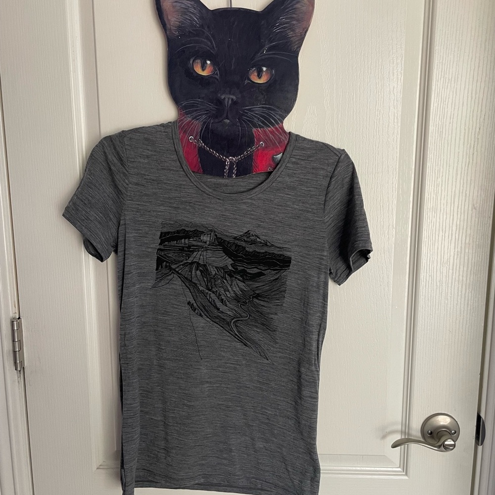 Icebreaker Charcoal Mountain Tee